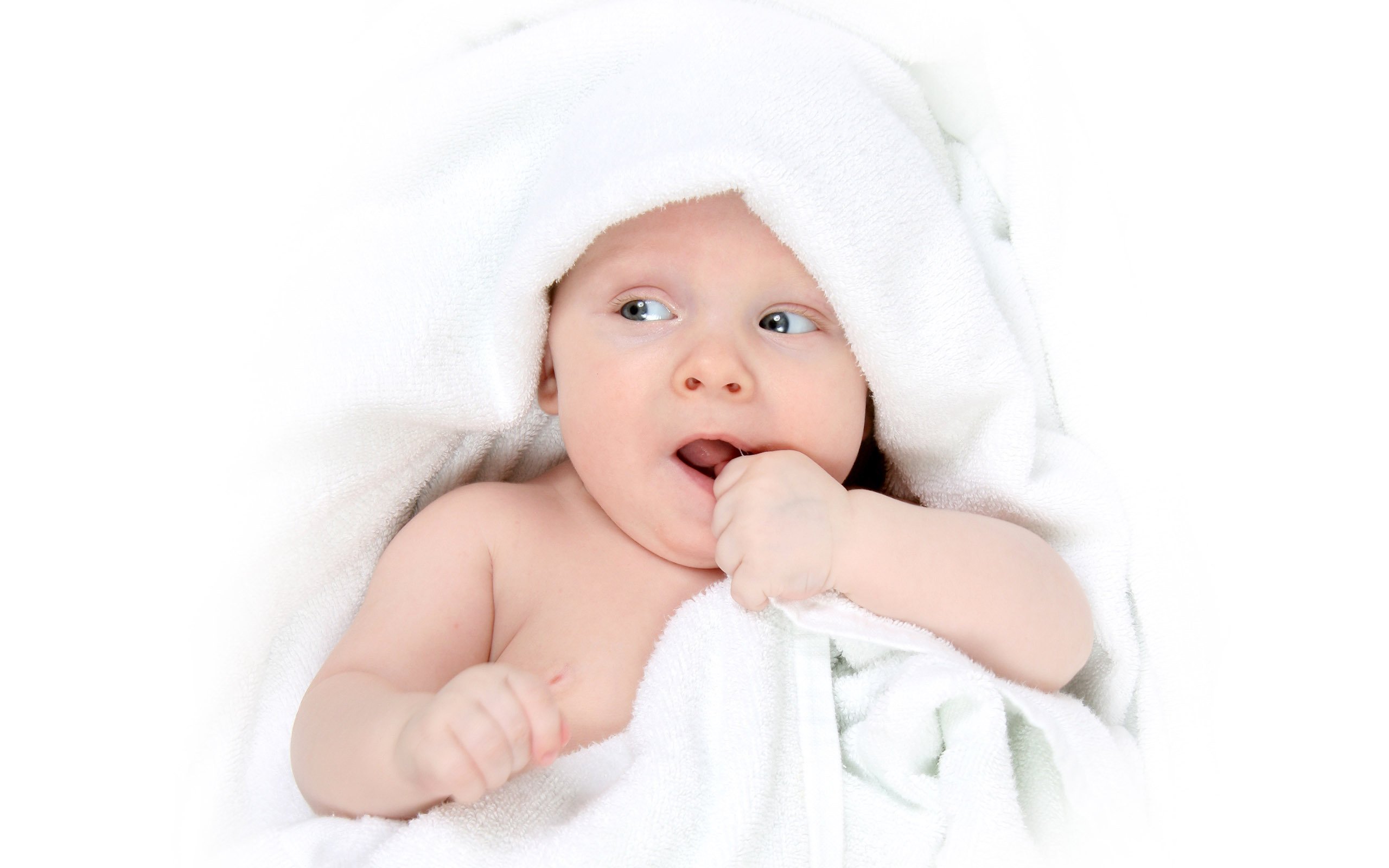 泰州助孕供卵试管婴儿成功率排行